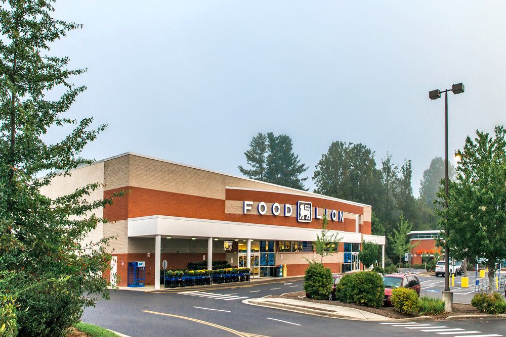 COLLEGE STATION SHOPPING CENTER: 100 College Station Dr, Brevard, NC 28712